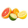  Citrus Fruits 